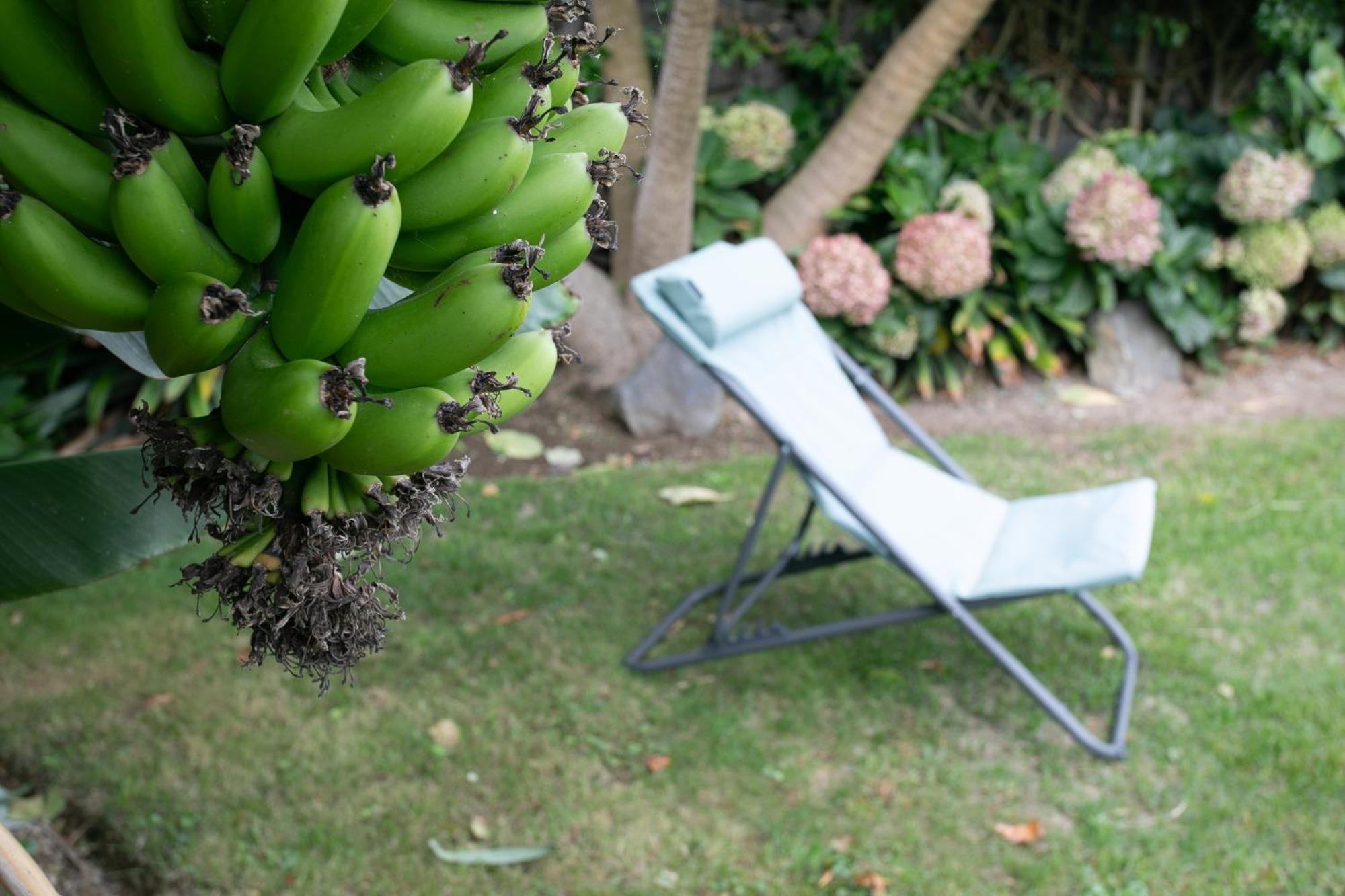 Maria'S Haven Villa Santo Antonio  Luaran gambar